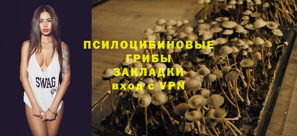 ECSTASY Абаза