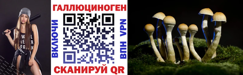 Галлюциногенные грибы Psilocybe  Углегорск 